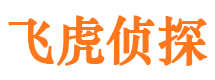 建水外遇出轨调查取证